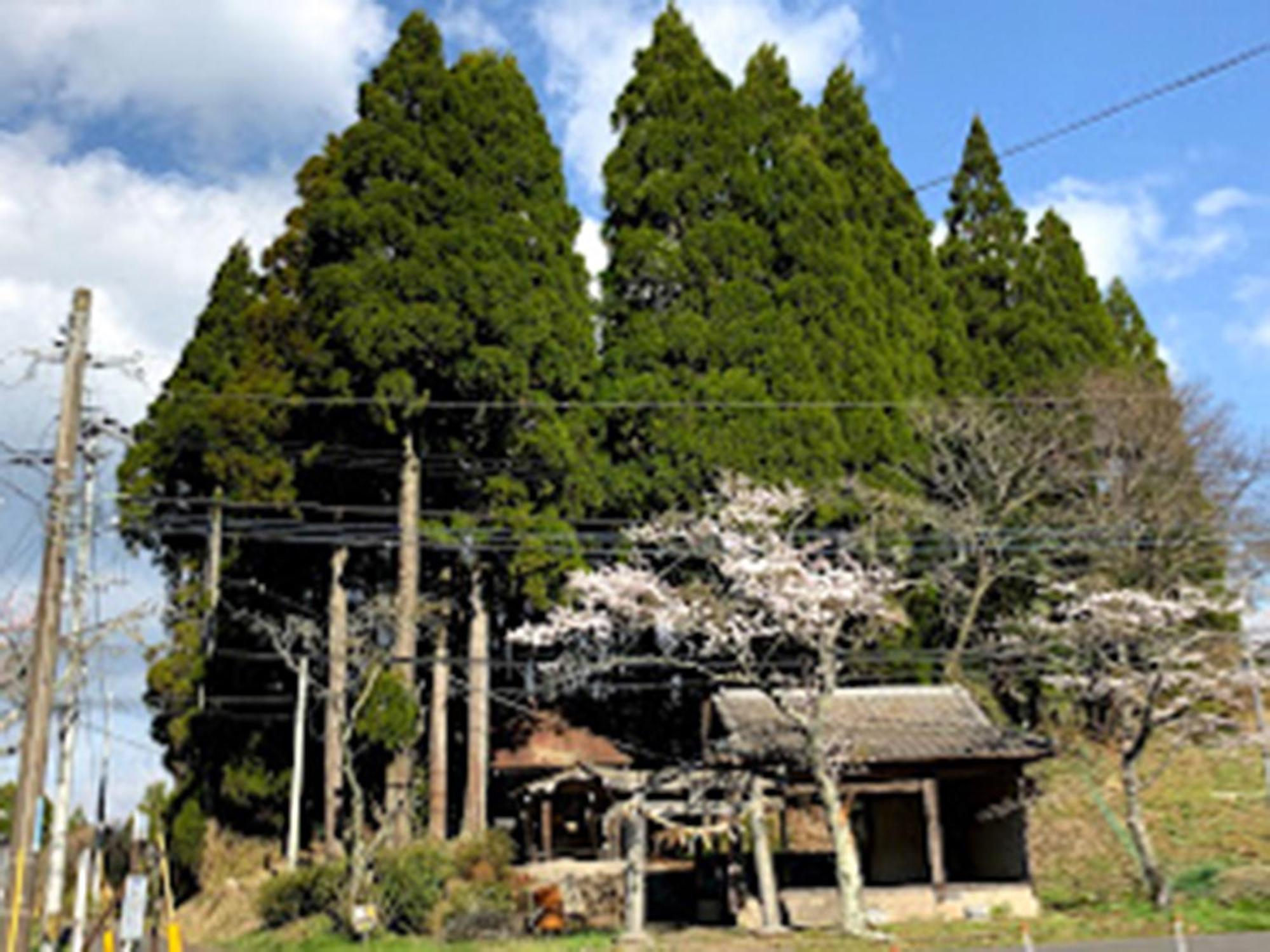 Guesthouse Kurihai Ōita Luaran gambar